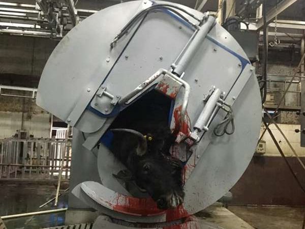 液壓旋轉翻板箱